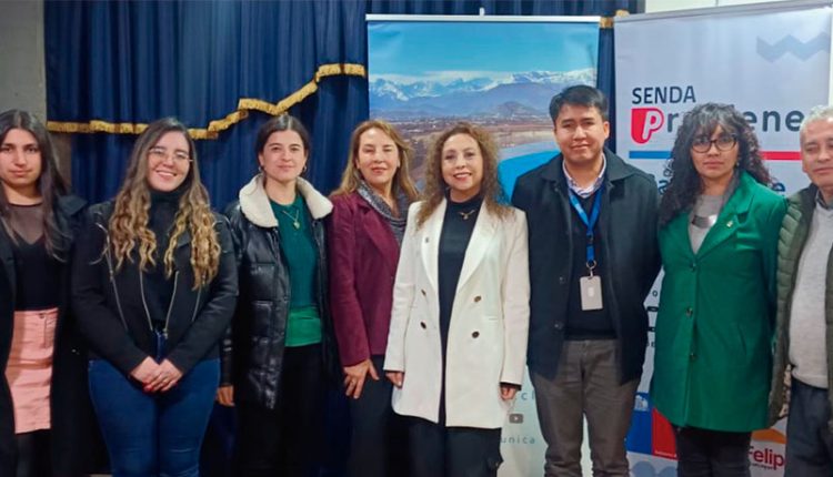 Docentes