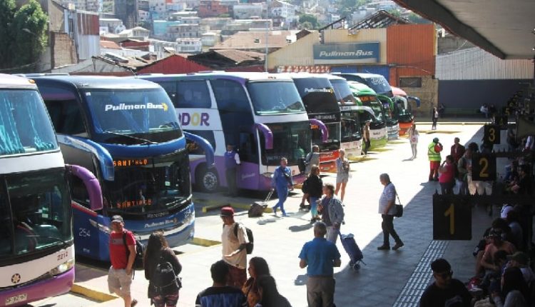buses