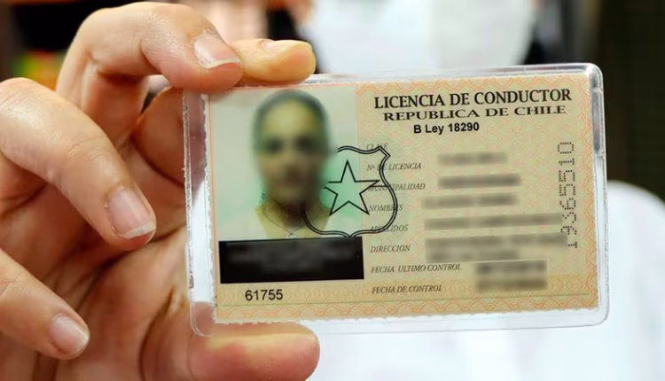 Licencia