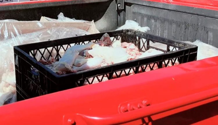 Decomisan carne