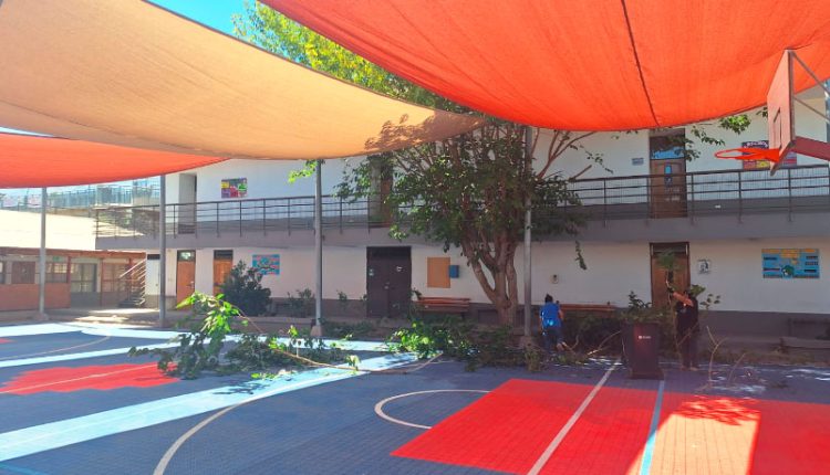Escuela El Sauce