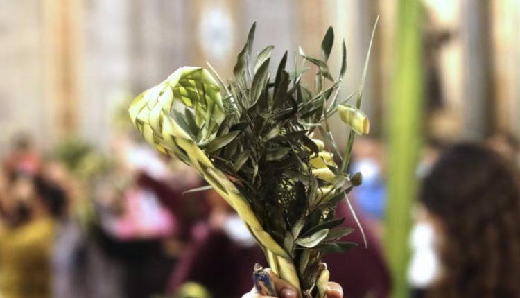 Domingo De Ramos