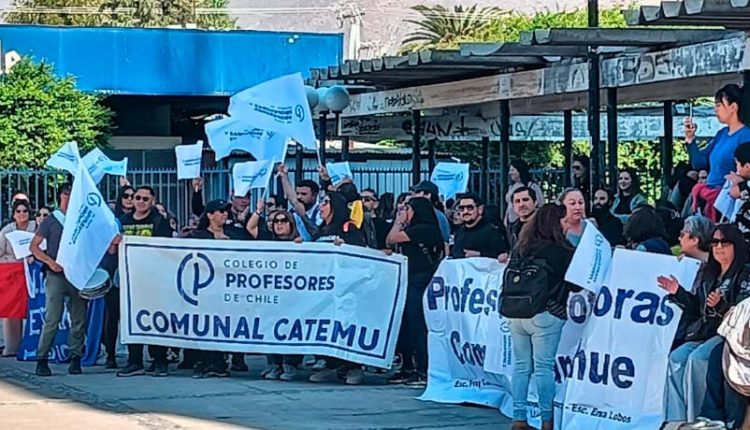 Profesores