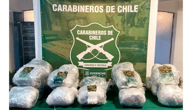 24 kilos de marihuana