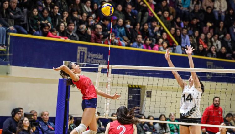 Voleibol 2026