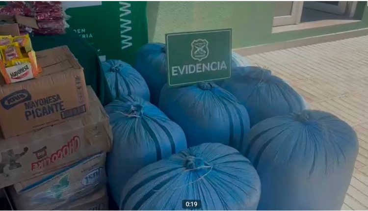 38 kilos de hojas de coca