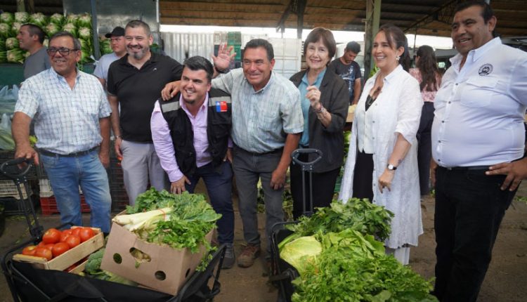 Ecomercado