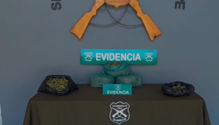 24 kilos de droga