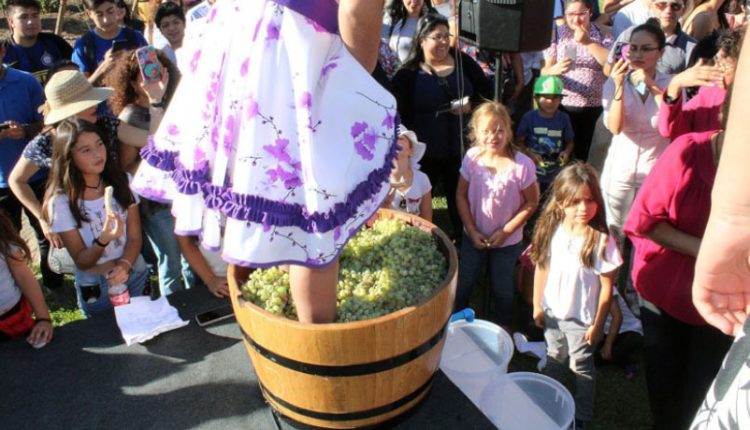 Fiestas de la Vendimia