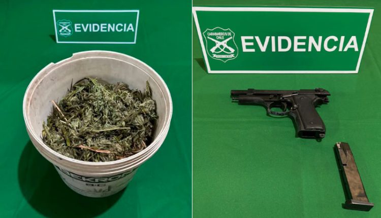 incautan drogas