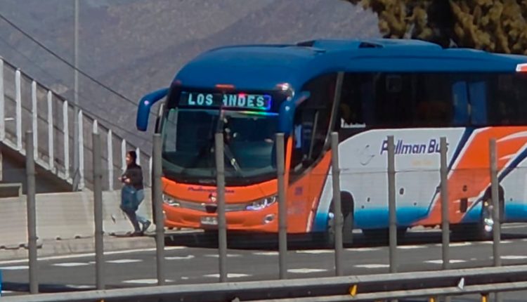 buses