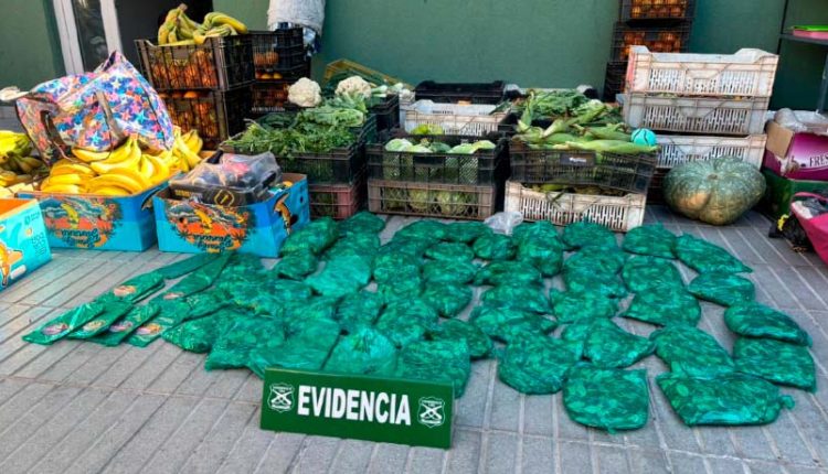 EcoMercado Solidario