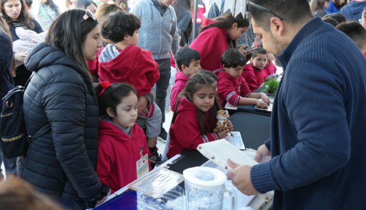 feria ambiental escolar comunal