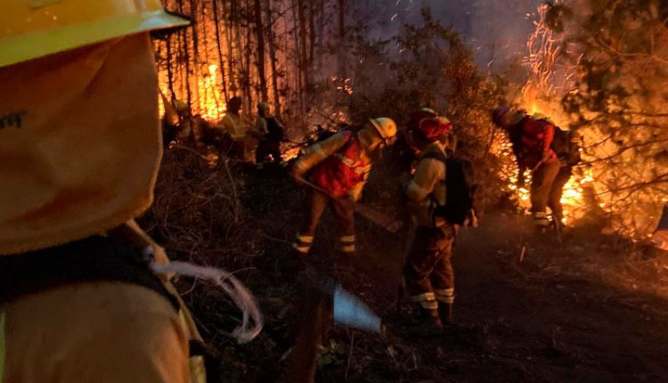 brigadas de combate de incendios forestales